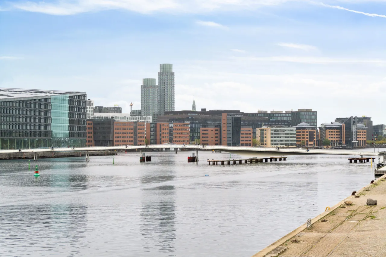 Lejlighed, Islands Brygge 38F, 1., th., billede 2 af 20