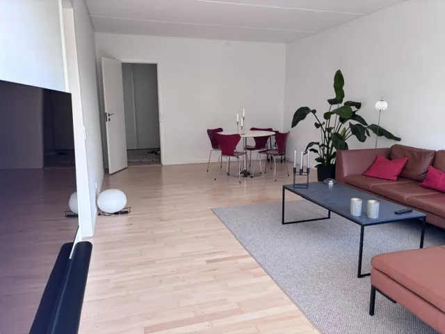 Lejlighed, Godthåbsvænget, Frederiksberg – privat parkering (udlejes til expats), billede 3 af 17